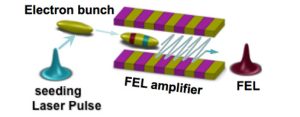Injected XUV Free-Electron Lasers