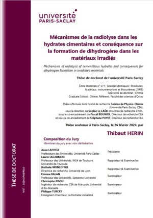 Mechanisms of radiolysis in cement hydrates and consequences for dihydrogen formation in irradiated materials