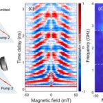 Time-resolved probing of magnetic and magneto-acoustic excitations