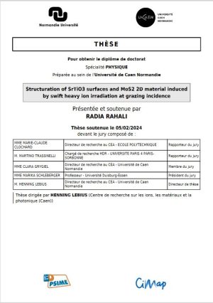 Structuration de surfaces et de matériaux 2D induite par irradiation aux ions lourds rapides en incidence rasante