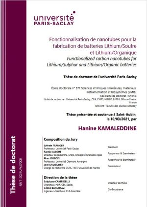 Functionalized carbon nanotubes for lithium/sulphur and lithium/organic batteries