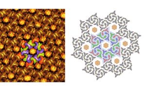 Hybrid functional materials and complex architectures