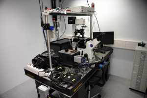 Microspectroscopie d’absorption différentielle et de diffusion Raman
