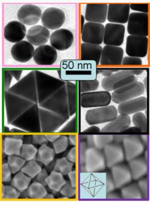 Nanoparticules d’or pour la plasmonique et la nanomédecine