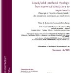 Liquid/solid interfacial rheology : from numerical simulations to experiments