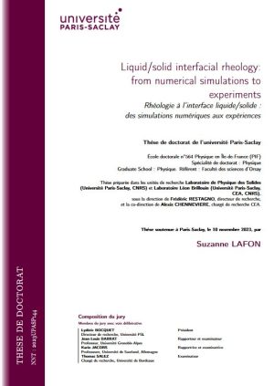 Rhéologie interfaciale liquide/solide : des simulations numériques aux expériences