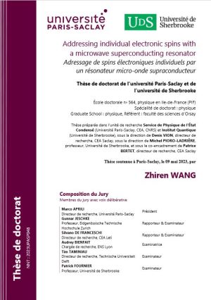 Addressing individual electronic spins with a microwave superconducting resonator