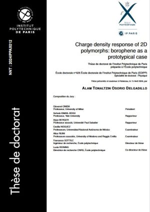 Charge density response of 2d polymorphs : borophene as a prototypical case