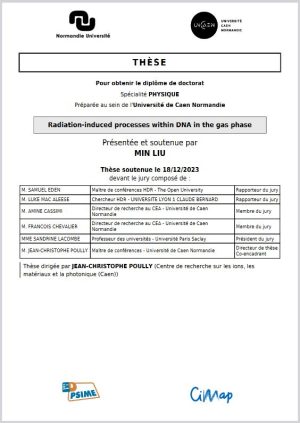 Processus induits par les rayonnements ionisants au sein de l’ADN en phase gazeuse