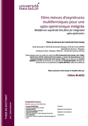 Multiferroic oxynitride thin films for integrated opto-spintronics