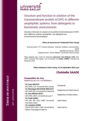 Structure et fonction en solution de la protéine transmembranaire mTSPO dans différents systèmes amphiphiles : des détergents aux environnements biomimétiques