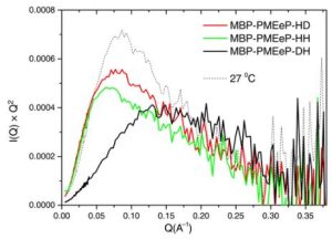 Investigation of the structure of protein–polymer conjugates in solution reveals the impact of protein deuteration and the size of the polymer on its thermal stability