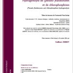 Hydrogénolyse de (pseudo-)haloboranes et de chlorophosphines