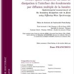 Mesure spatio-temporelle du taux de dissipation à l’interface des écoulements par diffusion multiple de la lumière