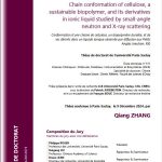 Conformation d’une chaine de cellulose, biopolymère durable, et de ses dérivés dans un liquide ionique observée par diffusion de neutrons aux petits angles (SANS) et de rayons X (SAXS)