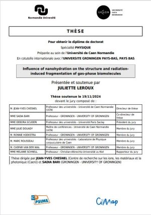 Influence de la nanohydratation sur la structure et la fragmentation radio-induite de biomolécules en phase gazeuse