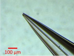 Developing a molten-salt ion source (CAPSEL)