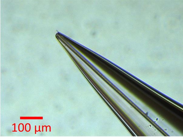 Développement d’une source d’ions à sels fondus (CAPSEL)