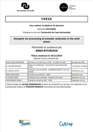 Évolution des molécules aromatiques en phase solide sous irradiation par des ions énergétiques