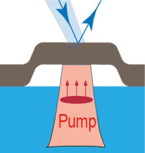 Génération par impulsion laser femtoseconde unique et propriétés plasmoniques de structures micrométriques