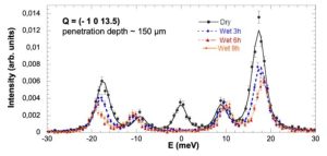 Identification by inelastic X-ray scattering of bulk alteration of solid dynamics due to liquid wetting