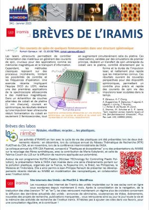 Brèves de l’IRAMIS n° 341 (Janvier 2025)