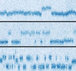 Spectroscopie et polarisation de spins nucléaires individuels dans un solide