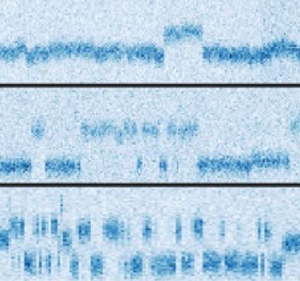 Spectroscopie et polarisation de spins nucléaires individuels dans un solide