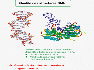 Première utilisation de cristaux liquides minéraux dilués pour induire une orientation partielle de bio-molécules destinée à apporter de nouvelles informations structurales non locales