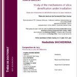 Study of the mechanisms of silica densification under irradiation
