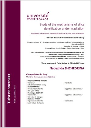 Study of the mechanisms of silica densification under irradiation