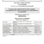 Growth of III-N compounds and their alloys : development of digital tools for optimizing their properties