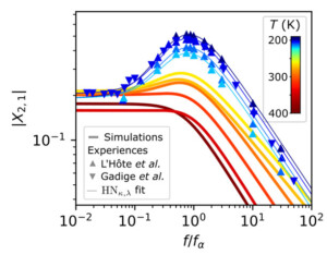 Apparition d’une bosse dans la réponse diélectrique cubique d’un liquide surfondu