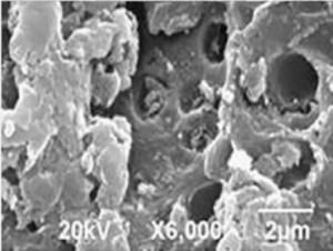 Structural and functional characteristics of β-lactoglobulin/C-phycocyanin/ starch composite gels induced by pressure