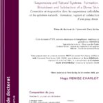 Convection et &eacute;vaporation dans les suspensions collo&iuml;dales et les syst&egrave;mes naturels&nbsp;: formation, rupture et subduction d&rsquo;une peau dense