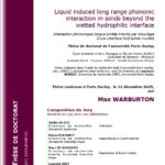 Phononic interaction between solid and liquid at hydrophilic interface