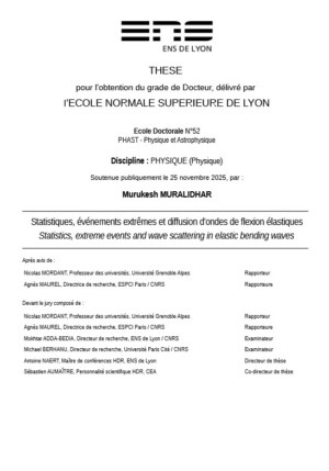 Statistiques, &eacute;v&eacute;nements extr&ecirc;mes et diffusion des ondes dans les ondes de flexion &eacute;lastiques