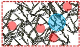 Impact of methyl-esterification on the microstructure of calcium-induced polygalacturonic acid gels