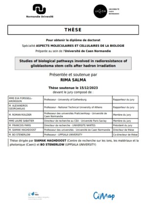 &Eacute;tudes des voies biologiques impliqu&eacute;es dans la radio-r&eacute;sistance des cellules souches de glioblastome apr&egrave;s irradiation par hadrons
