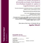 D&eacute;tection de cellules eucaryotes et procaryotes au moyen d&rsquo;une biopuce &eacute;quip&eacute;e de capteurs &agrave; magn&eacute;tor&eacute;sistance g&eacute;ante