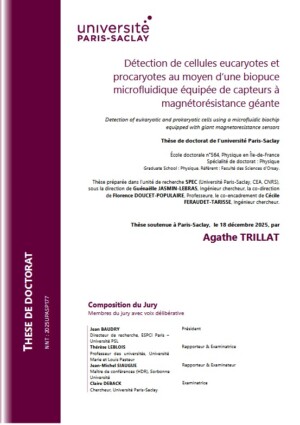 D&eacute;tection de cellules eucaryotes et procaryotes au moyen d&rsquo;une biopuce &eacute;quip&eacute;e de capteurs &agrave; magn&eacute;tor&eacute;sistance g&eacute;ante