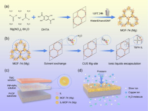 MOFs for the recovery of critical metals