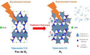 Radiolysis of cementitious materials: uncovering hidden mechanisms of dihydrogen production in solid phases