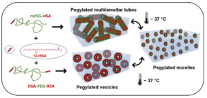 Thermo-responsive PEGylated nano-assemblies for controlled drug delivery