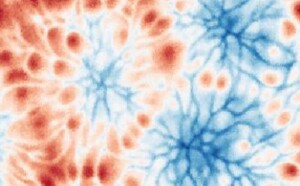 Convection-evaporation of water in a large aspect ratio layer