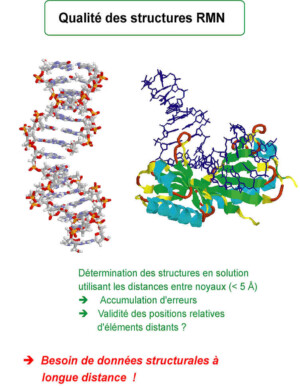 Premi&egrave;re utilisation de cristaux liquides min&eacute;raux dilu&eacute;s pour induire une orientation partielle de bio-mol&eacute;cules destin&eacute;e &agrave; apporter de nouvelles informations structurales non locales