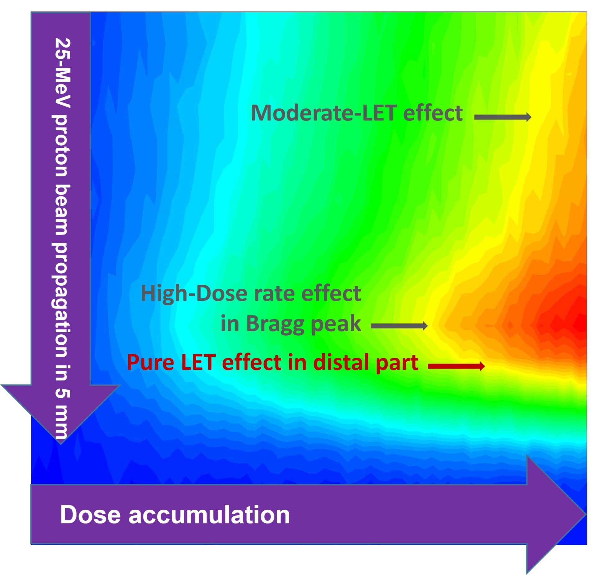 Probing radical chemistry at the Bragg peak of proton beams - DICO