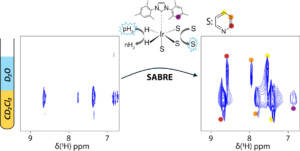M&eacute;thodes RMN pour la caract&eacute;risation d&rsquo;esp&egrave;ces mol&eacute;culaires dans deux solvants immiscibles&nbsp;: applications &agrave; l&rsquo;hyperpolarisation par la m&eacute;thode SABRE