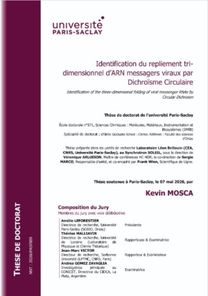 Identification of the three-dimensional folding of viral messenger RNAs by Circular Dichroism