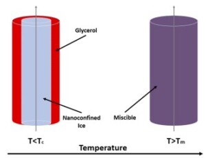 Modifications structurelles induites par la glace dans des m&eacute;langes eau-glyc&eacute;rol confin&eacute;s &agrave; l&rsquo;&eacute;chelle nanom&eacute;trique